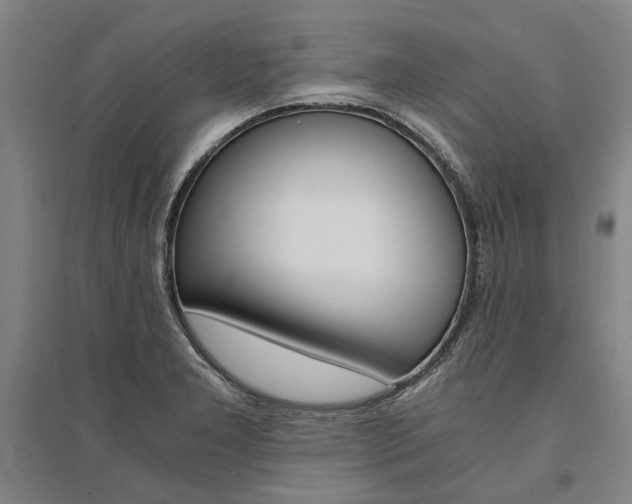 X0000095541277200712141015