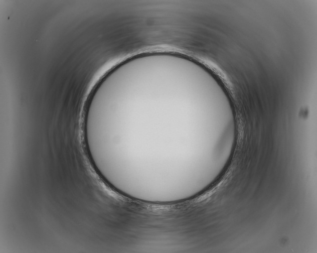 X0000095541278200712141015