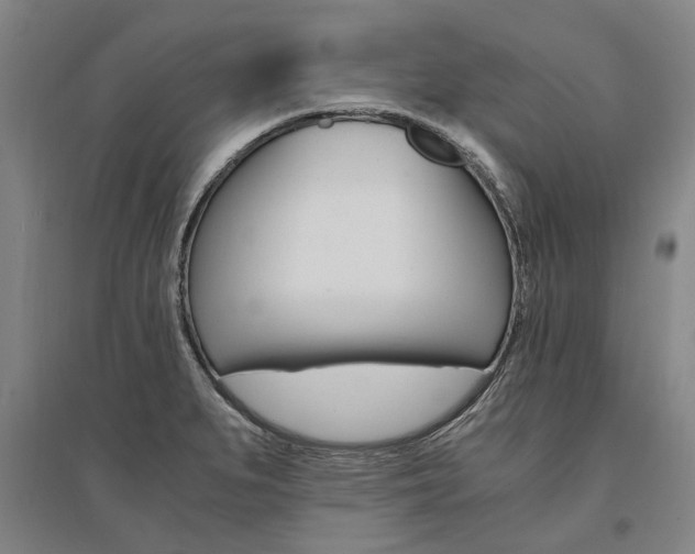 X0000095541279200712141015