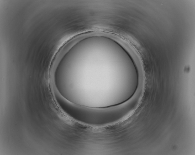 X0000095541280200712141015
