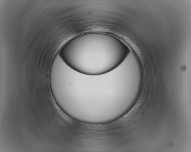 X0000095541281200712141015