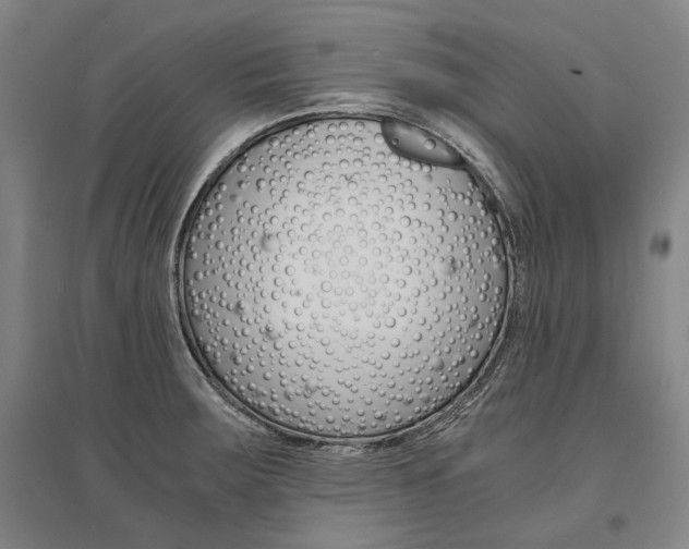 X0000095541283200712141015