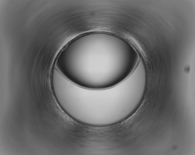 X0000095541284200712141015