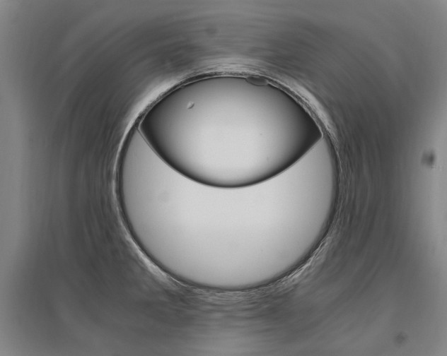 X0000095541285200712141015