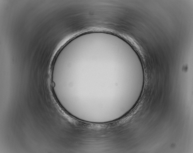 X0000095541286200712141015