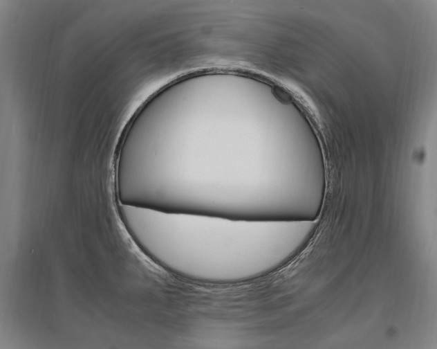X0000095541287200712141015