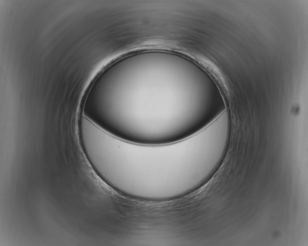 X0000095541288200712141015