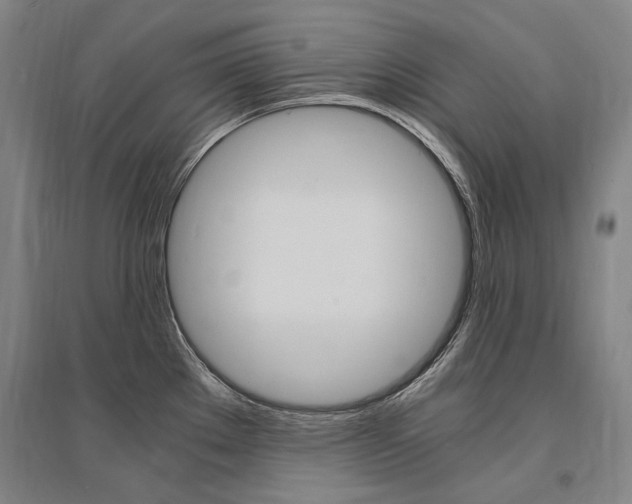 X0000095541289200712141015