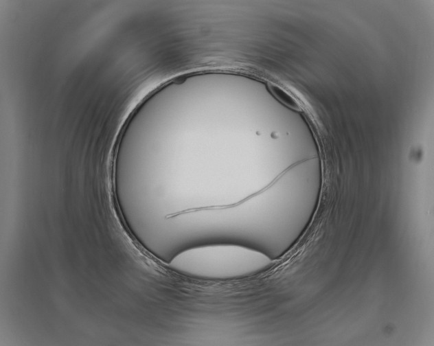 X0000095541291200712141015