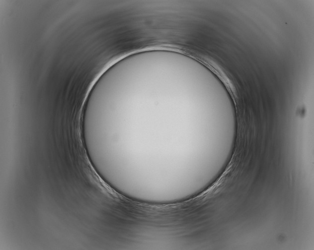 X0000095541292200712141015