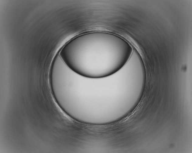 X0000095541293200712141015