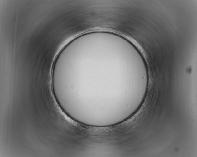 X0000095541294200712141015
