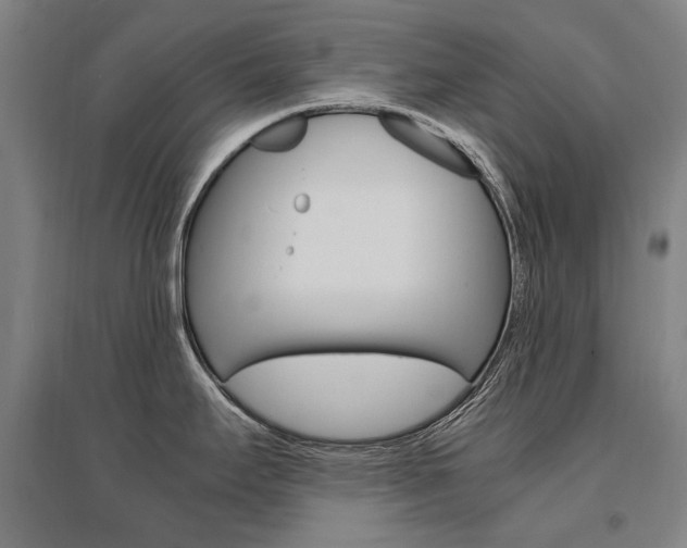 X0000095541295200712141015