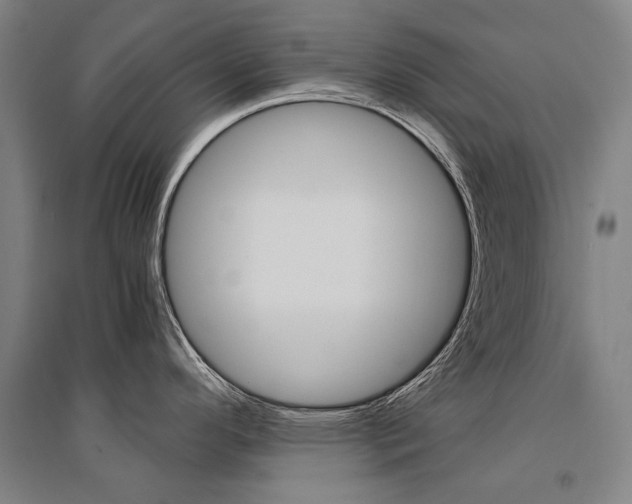 X0000095541296200712141015