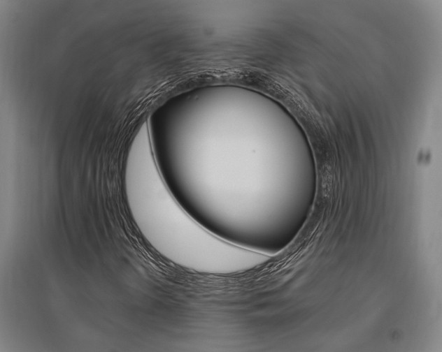 X0000095541298200712141014
