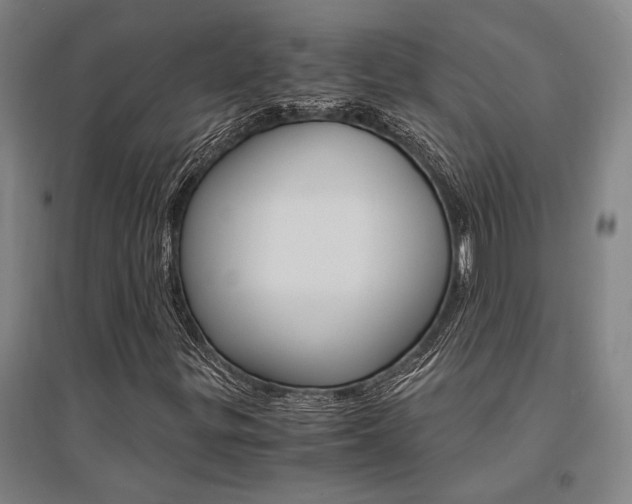 X0000095541299200712141014