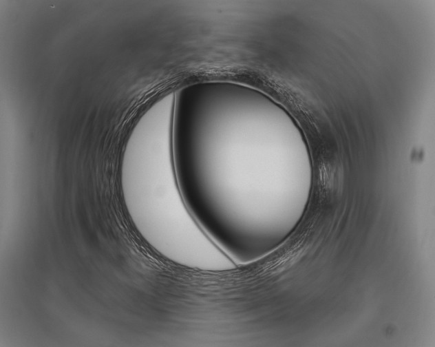 X0000095541300200712141014