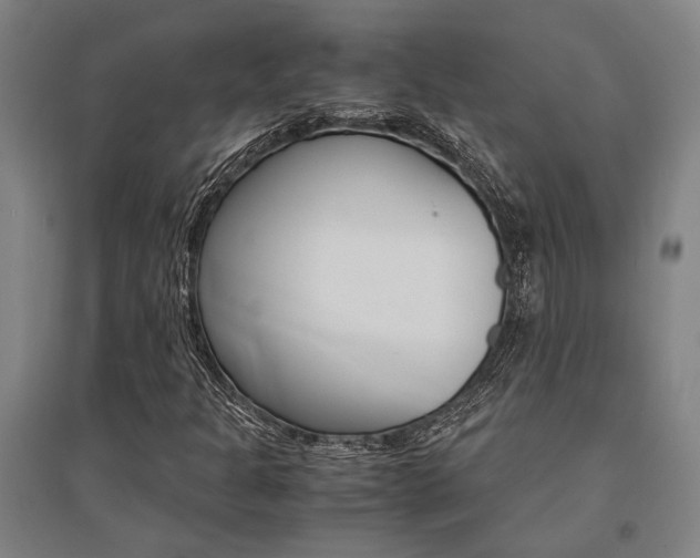 X0000095541301200712141014