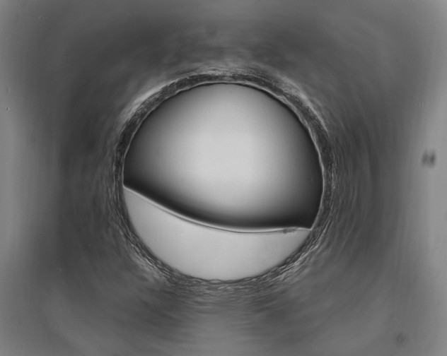 X0000095541304200712141014