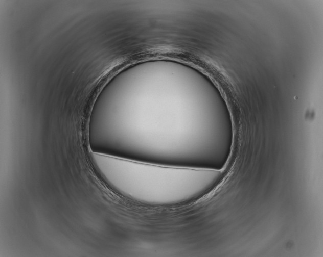 X0000095541305200712141014