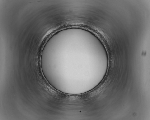 X0000095541306200712141014