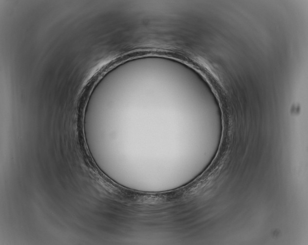 X0000095541307200712141014
