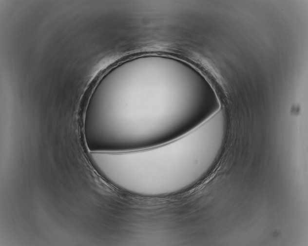 X0000095541308200712141014