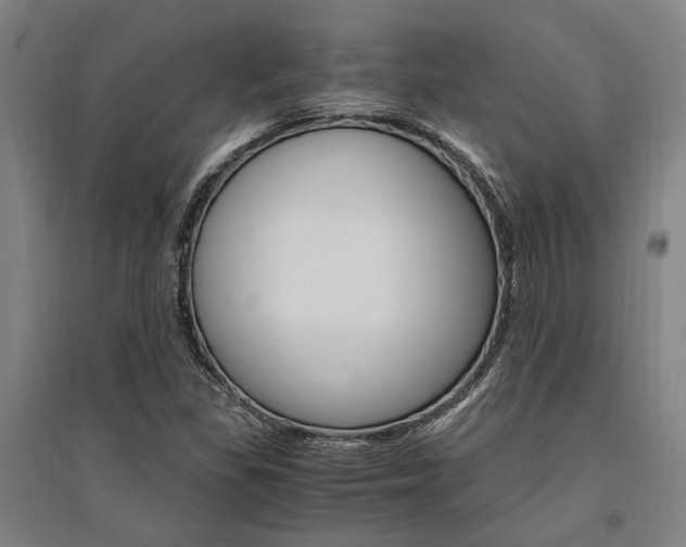 X0000095541309200712141014