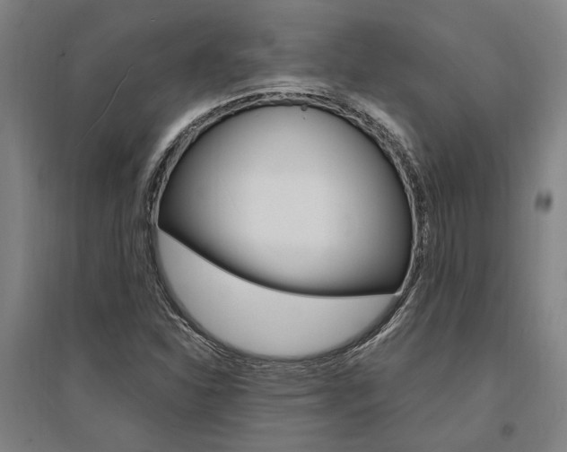 X0000095541310200712141014