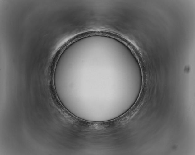 X0000095541311200712141014