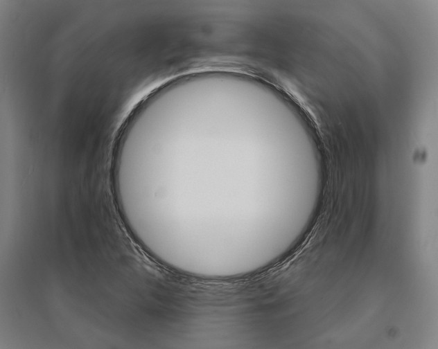 X0000095541312200712141014