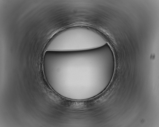 X0000095541313200712141015