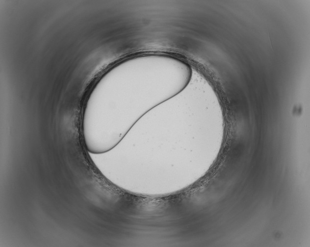 X0000095541314200712141015