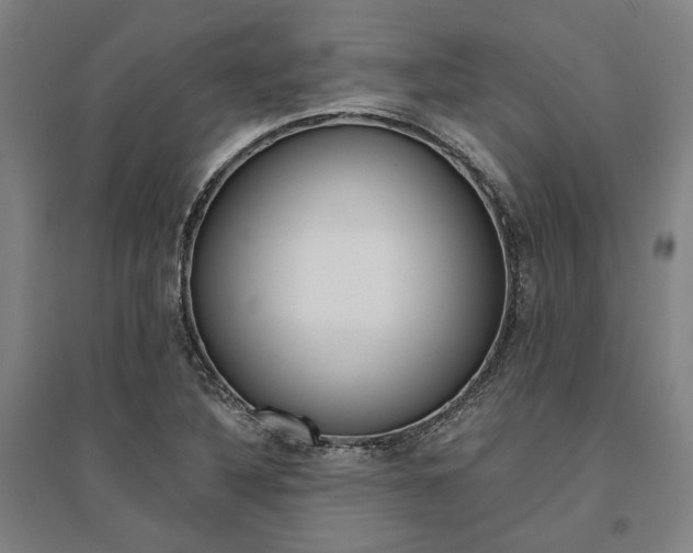 X0000095541316200712141015