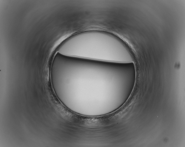 X0000095541317200712141015