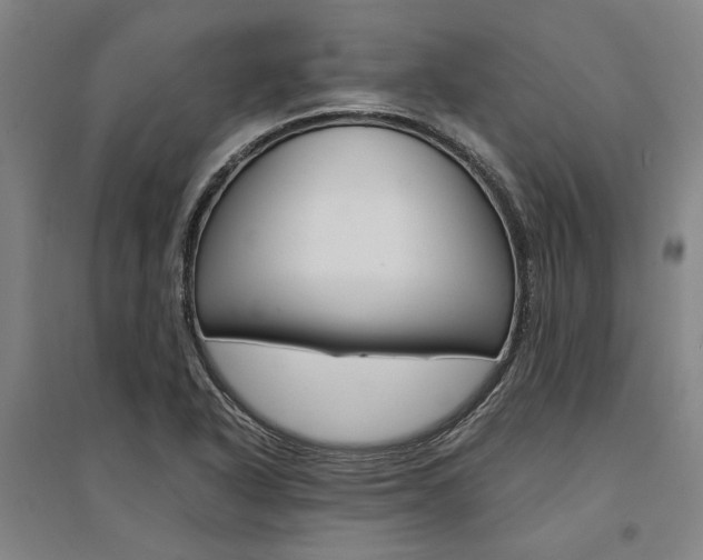 X0000095541318200712141015