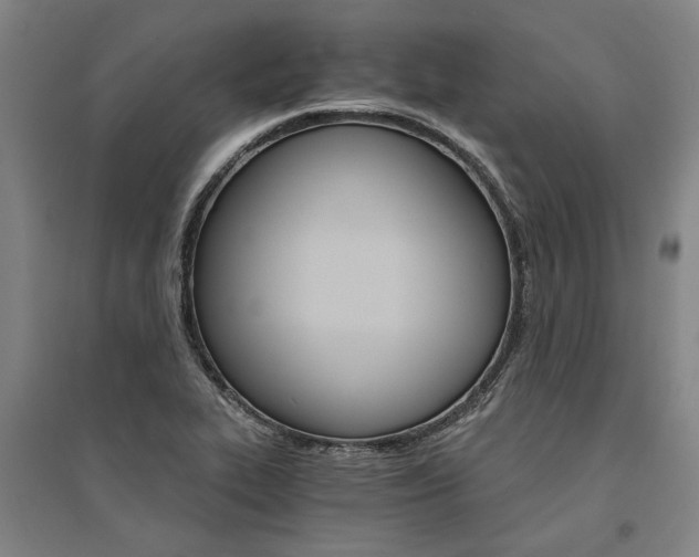 X0000095541319200712141015