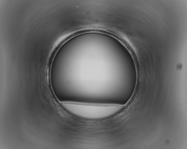 X0000095541320200712141015