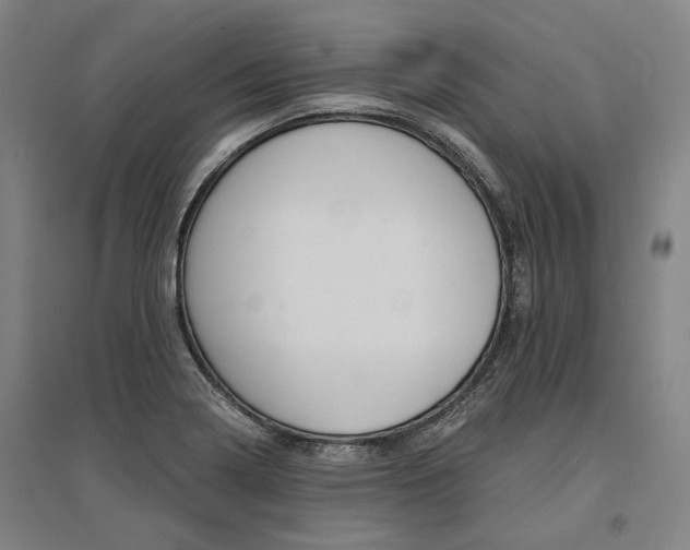 X0000095541322200712141015