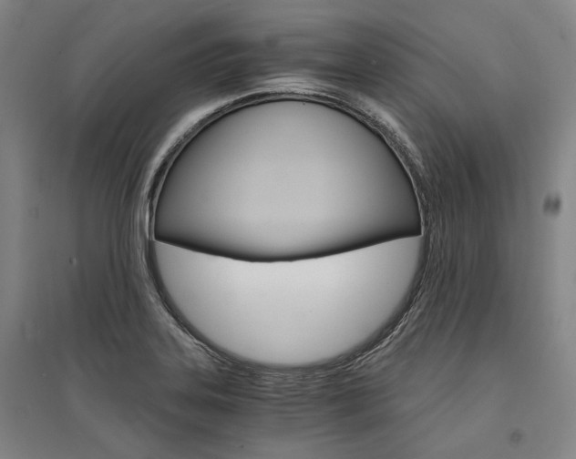 X0000095541323200712141015