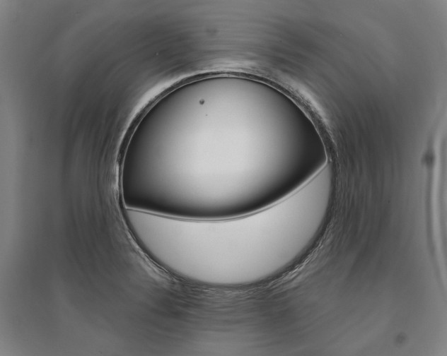 X0000095541324200712141015