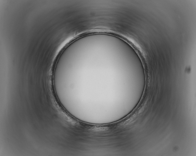 X0000095541325200712141015