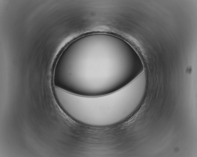 X0000095541326200712141015
