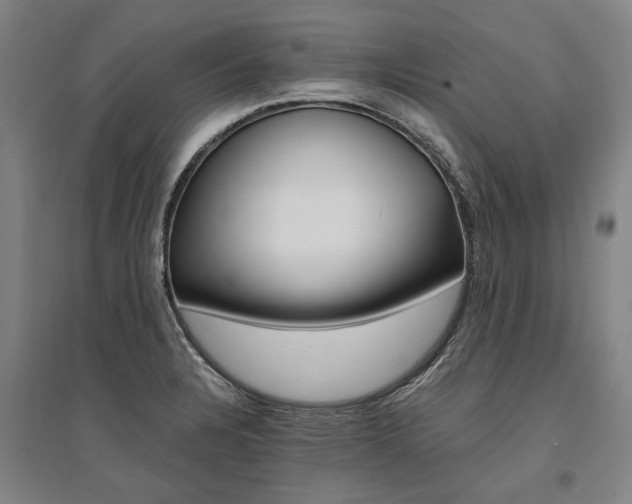X0000095541328200712141015