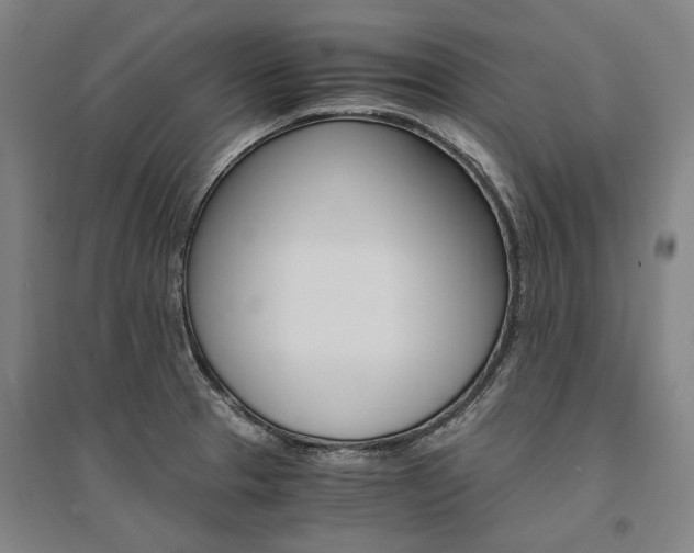 X0000095541329200712141015