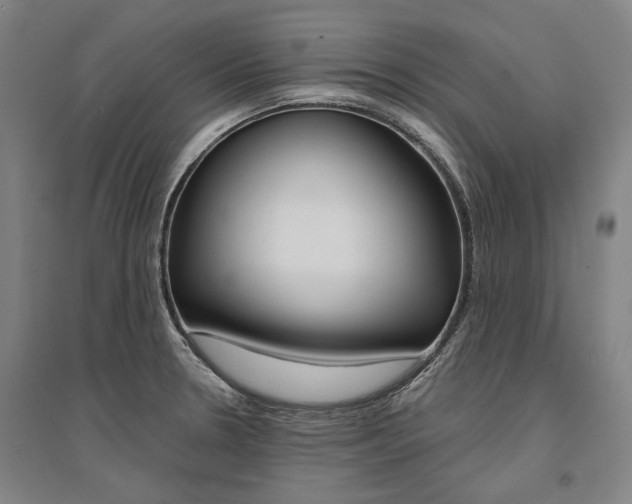 X0000095541330200712141015