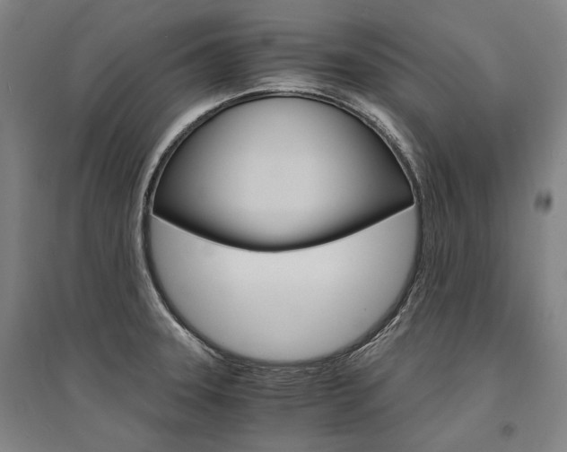 X0000095541331200712141015