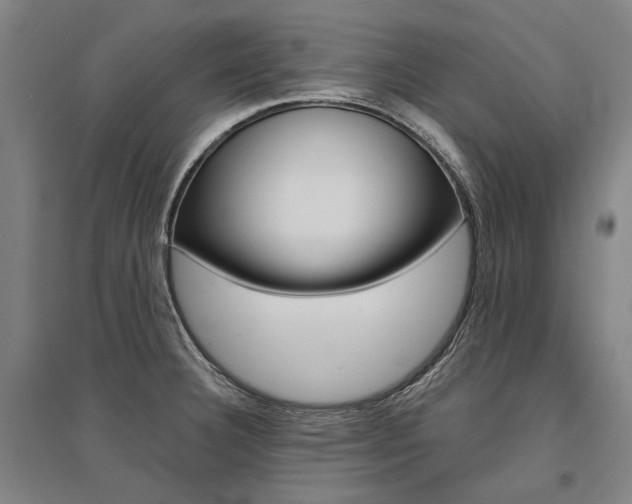X0000095541332200712141015