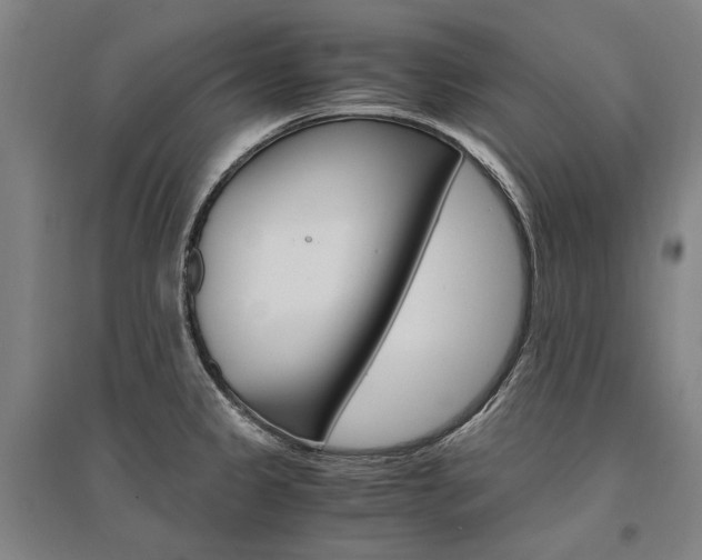 X0000095541333200712141015