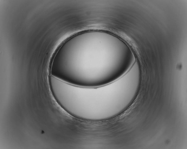 X0000095541334200712141015